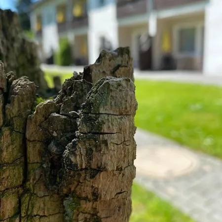 דירה Gaestehaus Falkenhof *