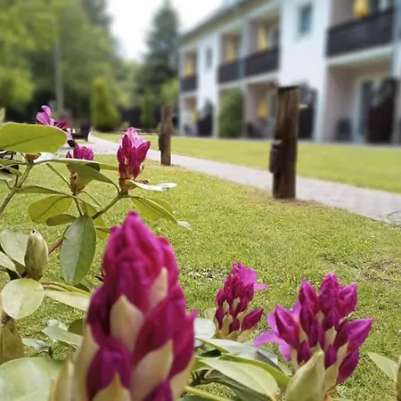 Gaestehaus Falkenhof *